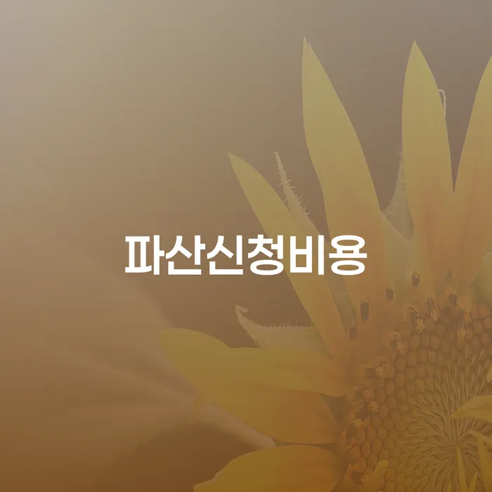 부부회생 채무 효과적인 해결방법 자세히알고