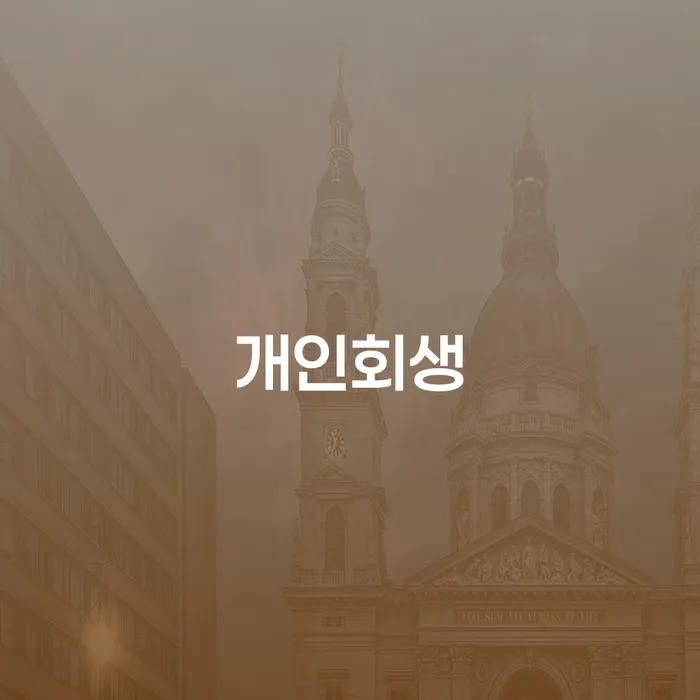 파산관재인 개인회생 제도 있어도
