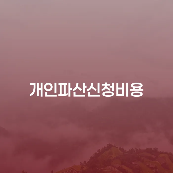 순천시 파산신청방법 대출 연체 개인회생 확인 하고 진행