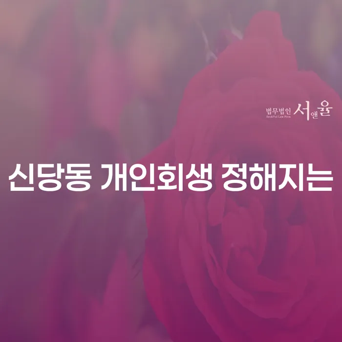 신당동 개인회생 정해지는
