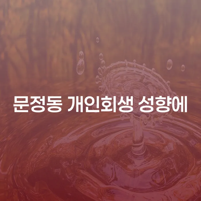 문정동 개인회생 성향에