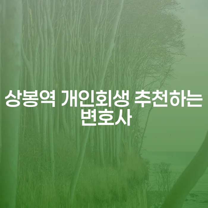 상봉역 개인회생 추천하는 변호사