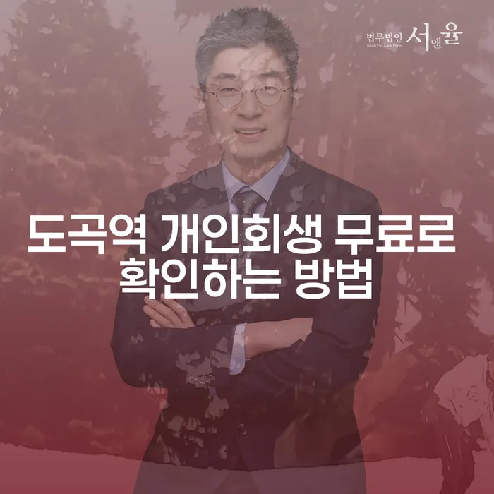 도곡역 개인회생 무료로 확인하는 방법