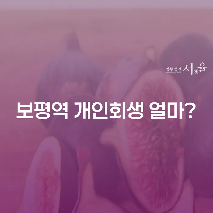보평역 개인회생 얼마?