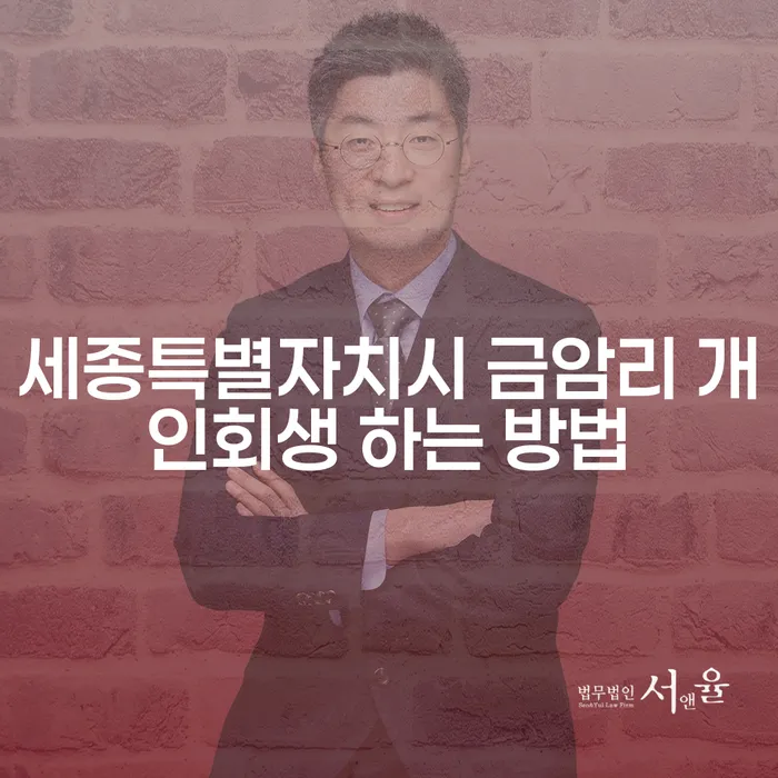 세종특별자치시 금암리에서 개인회생 하는 방법은 무엇일까요?