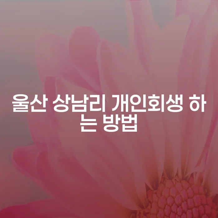 울산 상남리에서 개인회생을 신청하는 방법은 무엇일까요?