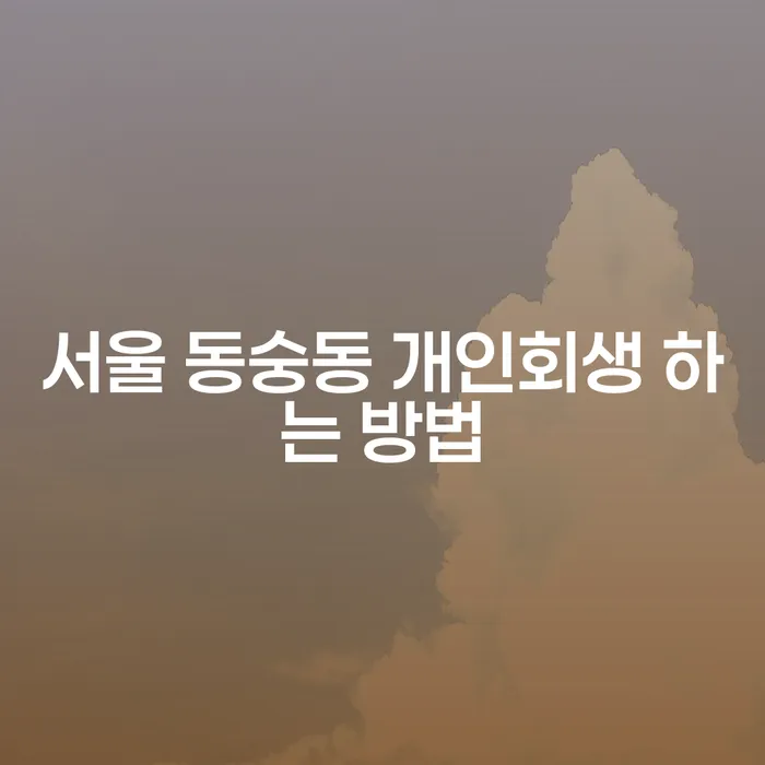 서울 동숭동에서 개인회생을 하는 방법은 무엇일까요?