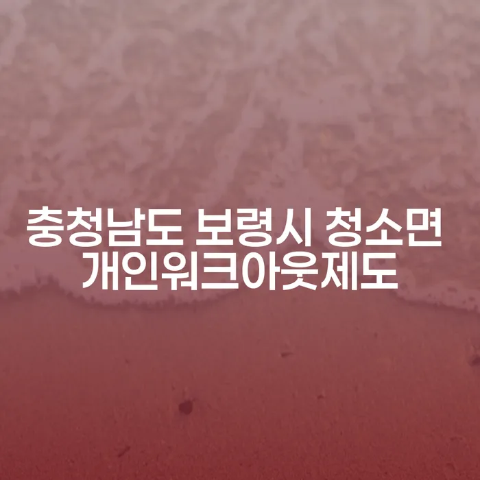 충청남도 보령시 청소면에서 개인워크아웃제도를 활용해 채무를 해결하는 방법은?