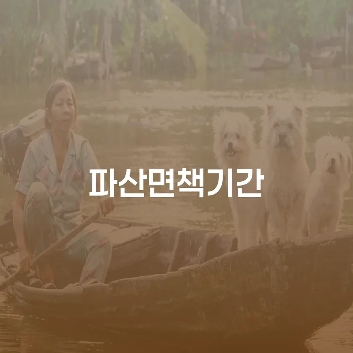 파산면책기간과 대출 6억원이상 개인회생, 어떻게 해결할 수 있을까요?