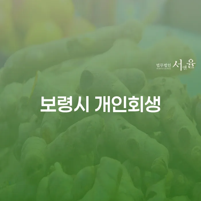 보령시 개인회생, 개인채무탕감으로 새로운 시작을 할 수 있을까요?