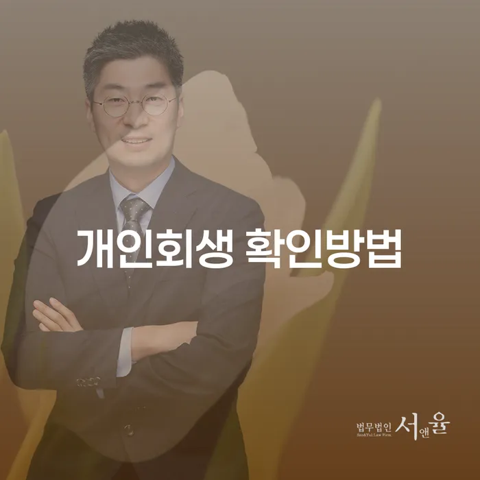 개인회생 신청, 어떻게 확인할 수 있을까요?